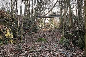 Brücke